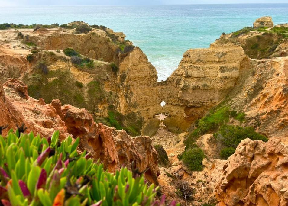 Marina Zen Apartment - Orada, البوفيرا المظهر الخارجي الصورة